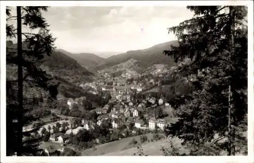 Ak Schramberg im Schwarzwald, Panorama