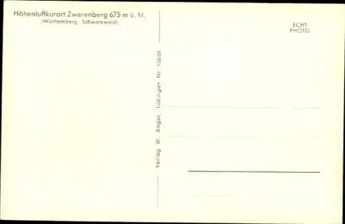 Ak Zwerenberg Neuweiler im Schwarzwald, Gesamtansicht