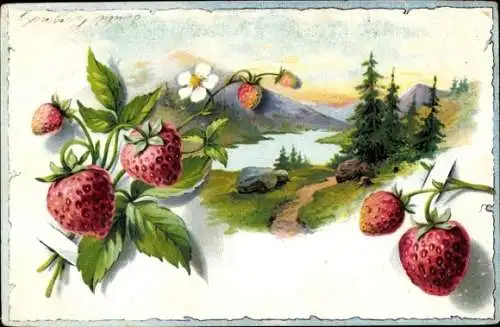 Litho Erdbeeren, Gebirgslandschaft, Kleeblätter rückseitig