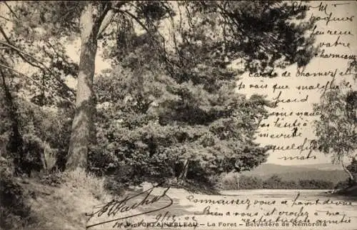 Ak Fontainebleau Seine et Marne, Wald, Belvedere de Nemorosa