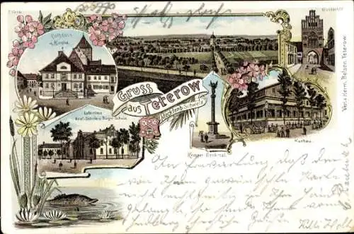 Litho Teterow in Mecklenburg, Kurhaus, Kriegerdenkmal, Rostocker Tor, Realschule, Rathaus