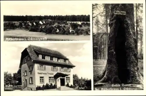 Ak Kälberbronn Pfalzgrafenweiler im Schwarzwald, Gesamtansicht, Gasthaus Traube, Hohle Tanne