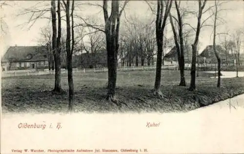 Ak Oldenburg in Holstein, Kuhof