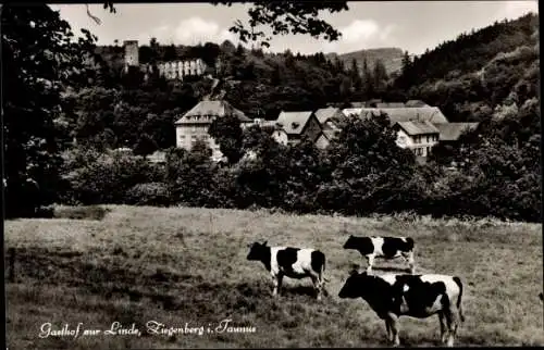 Ak Ziegenberg Ober Mörlen im Taunus, Gasthof zur Linde, Kühe weiden