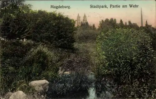 Ak Magdeburg an der Elbe, Stadtpark, Partie am Wehr