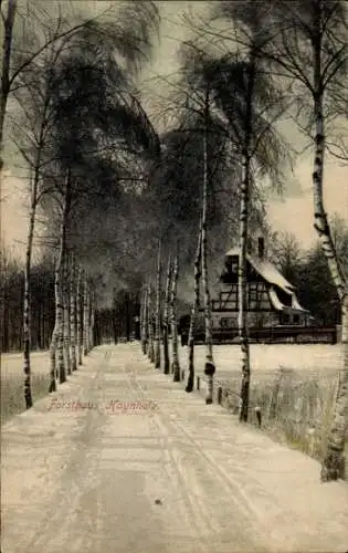 Ak Hohenstein Ernstthal in Sachsen, Forsthaus Haynholz, Hainholz, Winteransicht