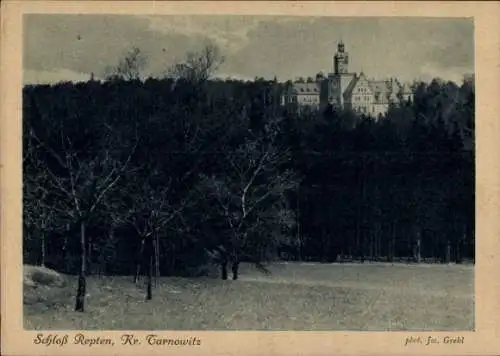 Ak Repty Śląskie Repten Tarnowskie Góry Tarnowitz Schlesien, Schloss