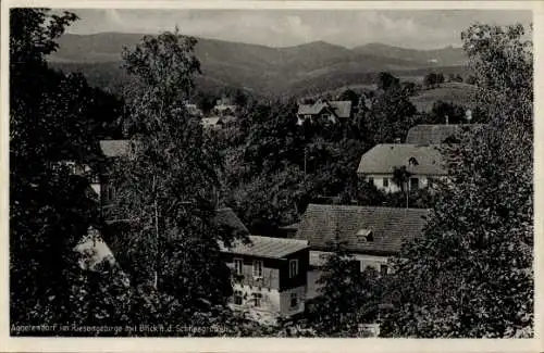 Ak Jagniątków Agnetendorf Jelenia Góra Hirschberg Riesengebirge Schlesien, Gesamtansicht