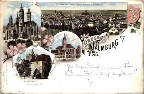 Litho Naumburg an der Saale, Dom, St. Wenzelskirche, Marientor, Totalansicht vom Bürgergarten aus