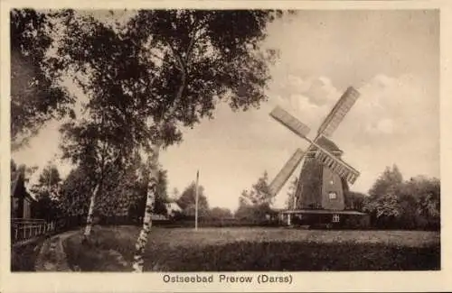 Ak Ostseebad Prerow auf dem Darß, Windmühle