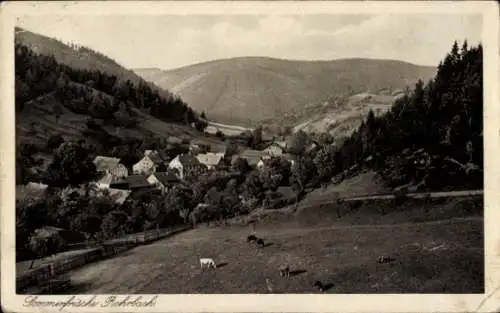 Ak Rohrbach in Thüringen, Panorama