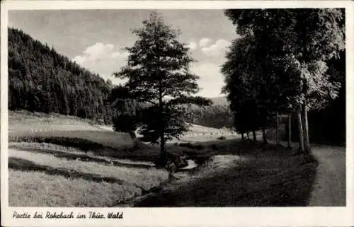 Ak Rohrbach Thüringer Wald, Wald bei Rohrbach