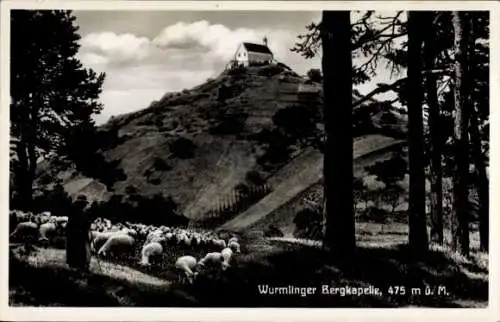 Ak Wurmlingen Rottenburg am Neckar, Wurmlinger Bergkapelle, Hirte, Schafe