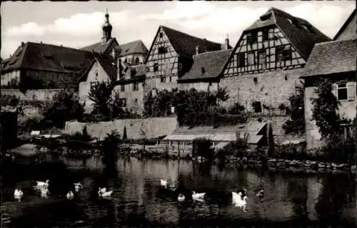 Ak Bad Wimpfen am Neckar, am Gänseteich