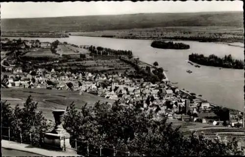 Ak Rüdesheim am Rhein, Gesamtansicht, Rheininseln