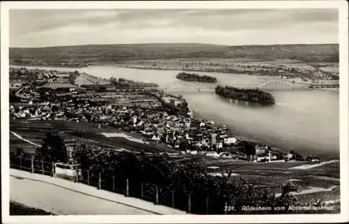 Ak Rüdesheim am Rhein, Blick vom Nationaldenkmal Niederwald, Panorama