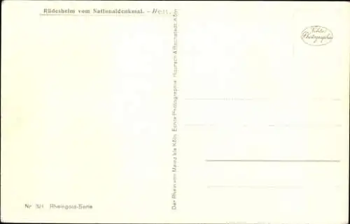 Ak Rüdesheim am Rhein, Blick vom Nationaldenkmal Niederwald, Panorama