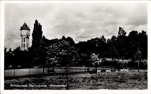 Ak Roosendaal Nordbrabant Niederlande, Hertenkamp, Vrouwenhof