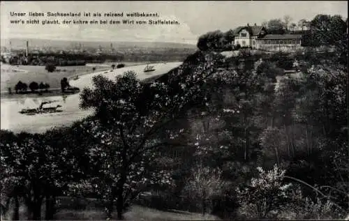 Ak Dresden Niederpoyritz, Staffelstein, Panorama, Schiff auf der Elbe