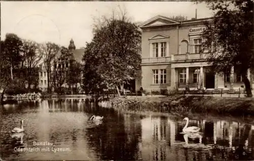 Ak Bolesławiec Bunzlau Schlesien, Odeonteich, Lyzeum, Schwäne