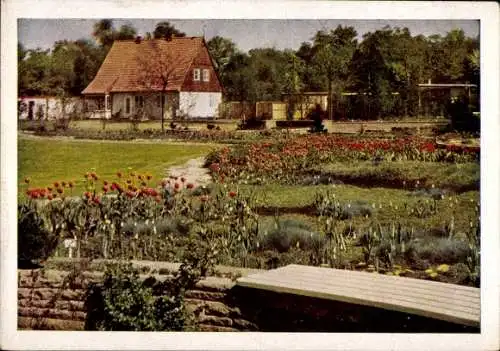 Ak Hannover, Erste Bundesgartenschau 1951, Staudengarten, Deutscher Hausgarten