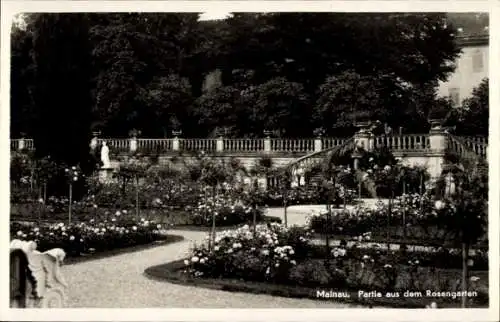 Ak Insel Mainau im Bodensee, Rosengarten