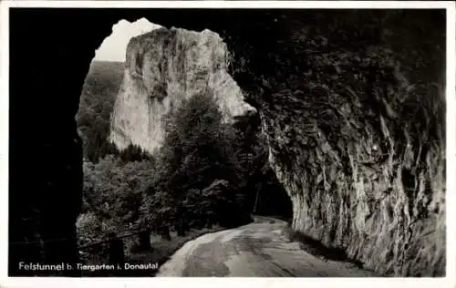 Ak Tiergarten Thiergarten Beuron im Donautal, Felstunnel