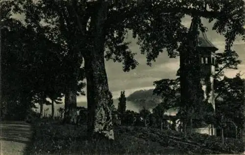 Ak Insel Mainau im Bodensee, Schwedenturm