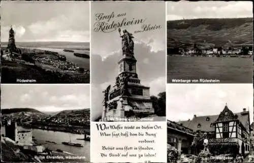 Ak Rüdesheim am Rhein, Niederwald-Denkmal, Ruine Ehrenfels, Mäuseturm, Weinberge, Drosselgasse