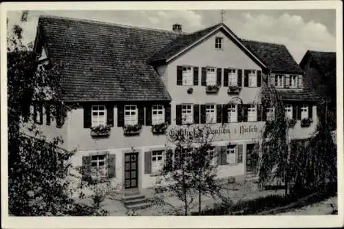 Ak Baiersbronn im Schwarzwald, Gasthaus und Pension z. Hirsch