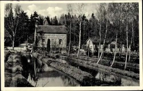 Ak Bad Homburg vor der Höhe, Forellen Gut Taunus, Restaurant Herzberger