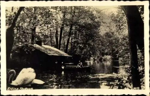 Foto Ak Erding in Oberbayern, Schwan auf dem Wasser, Boot