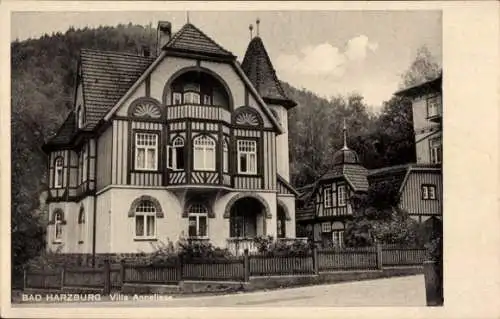 Ak Bad Harzburg am Harz, Villa Anneliese