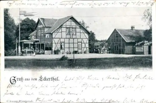 Ak Eckertal Bad Harzburg am Harz, Gasthof Jungborn