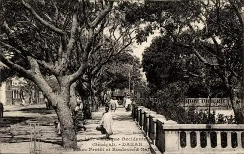 Ak Dakar Senegal, Place Protêt, Boulevard National