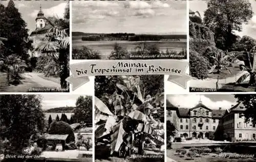 Ak Insel Mainau im Bodensee, Panorama, Schlosskirche, Bananenstaude, Schloss