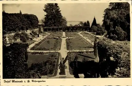 Ak Insel Mainau im Bodensee, Rosengarten