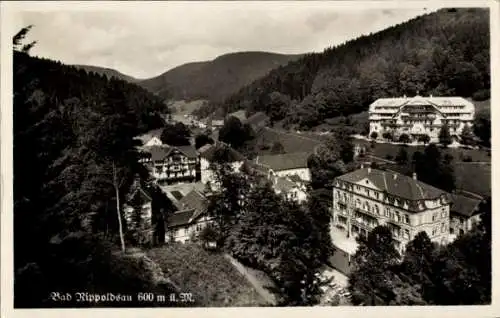 Ak Bad Rippoldsau Schapbach im Schwarzwald, Panorama