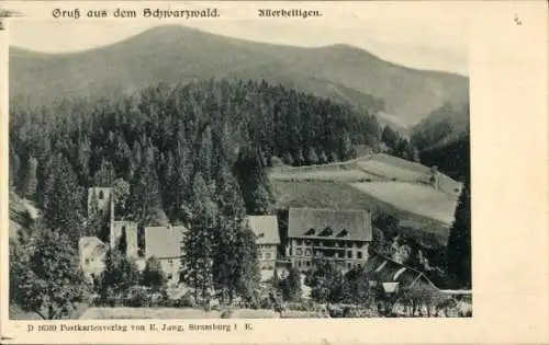 Ak Allerheiligen Oppenau im Schwarzwald, Panorama