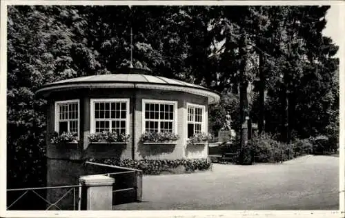 Ak Oppenau im Schwarzwald, Stadtgarten