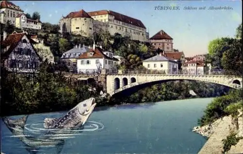 Ak Tübingen am Neckar, Schloss mit Alleenbrücke, Fisch