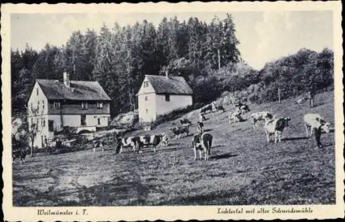 Ak Weilmünster im Taunus Hessen, Lichtertal, alte Schneidemühle, Kühe