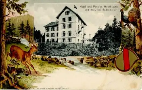 Präge Ak Badenweiler im Schwarzwald, Hotel und Pension Hochblauen, Wappen, Reh