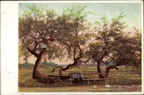 Ak Groß Besten Bestensee in Brandenburg, Genesungsheim, Historischer Birnbaum