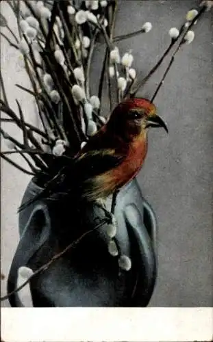 Ak Vogel, Weidenkätzchen, Blumenvase, Finkenstedt's Vogelfutter, Werbung