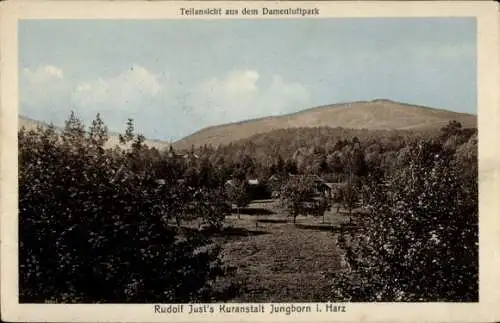 Ak Bad Harzburg am Harz, Jungborn, Damenluftpark, Rudolf Just's-Kuranstalt