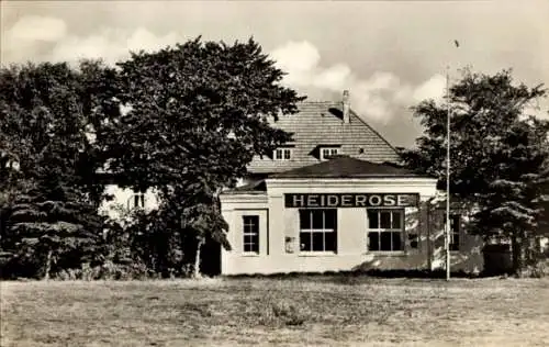 Ak Vitte Insel Hiddensee, Lokal Heiderose