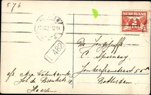 Ak Portrait von zwei Langhaarkatzen, Sitzend auf Spize und umgeben von Rosen