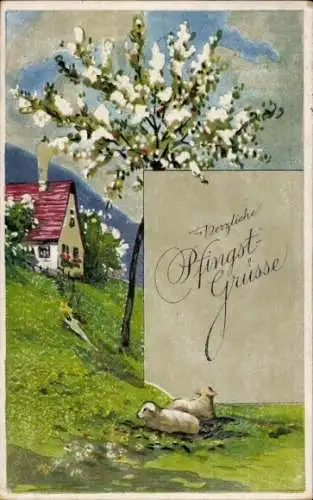 Künstler Ak Glückwunsch Pfingsten, Wohnhaus, Schafe