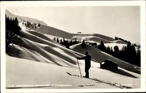 Ak Bregenzerwald Vorarlberg, Winterstaude, Ochsenhof, Skifahrer